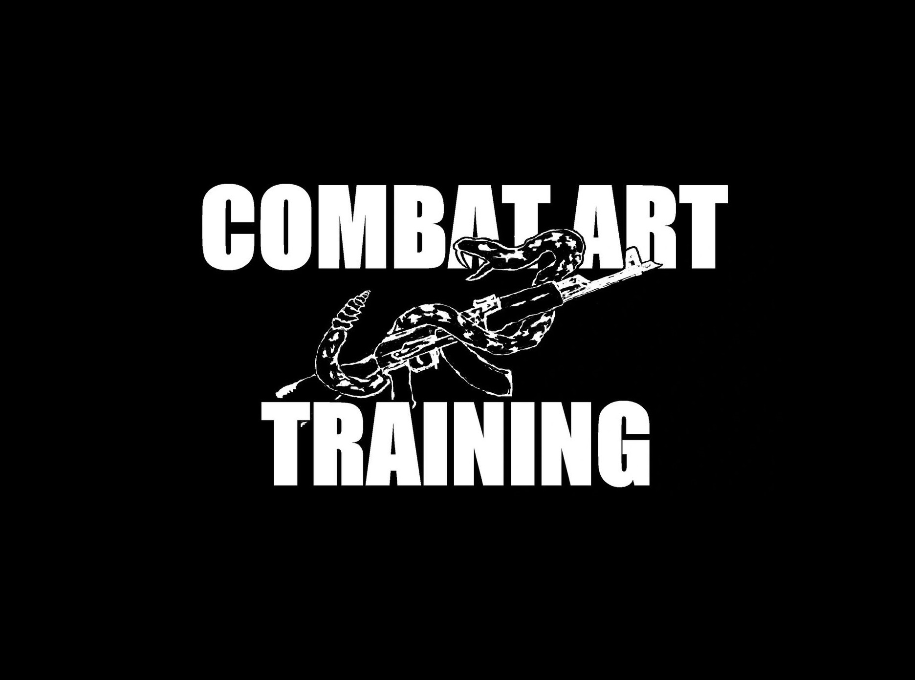 Combat Art Training